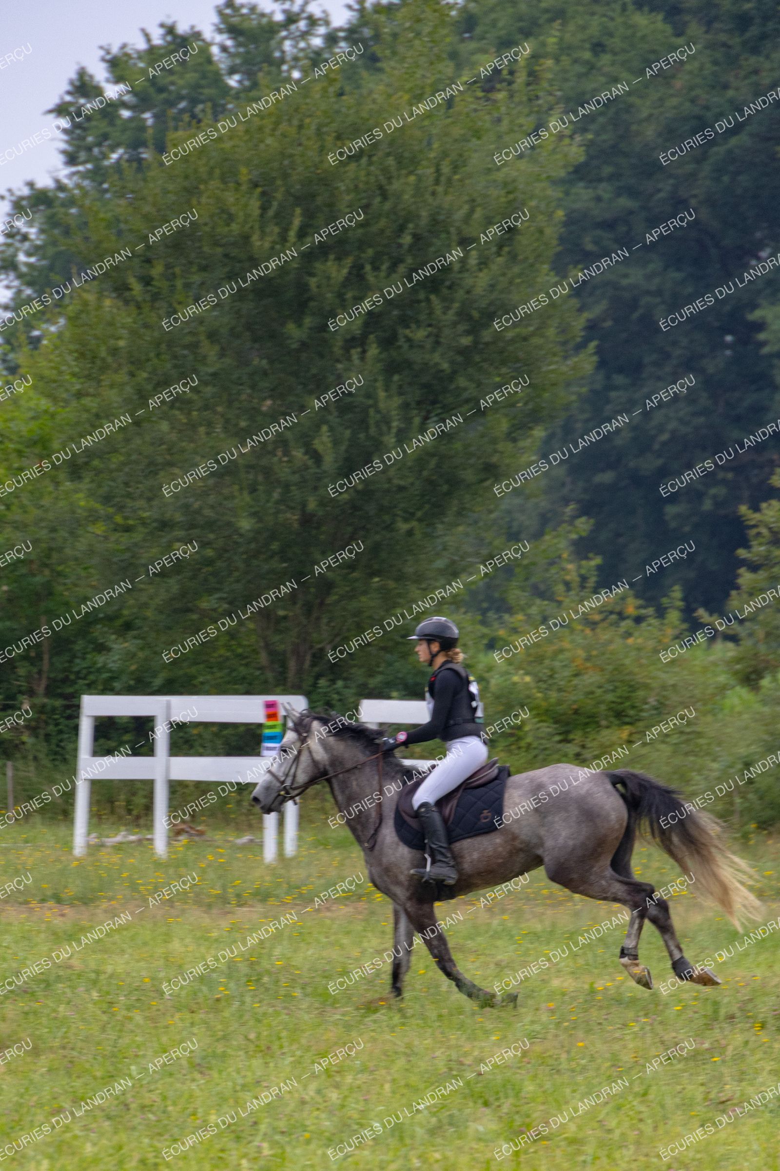 Concours au Landran