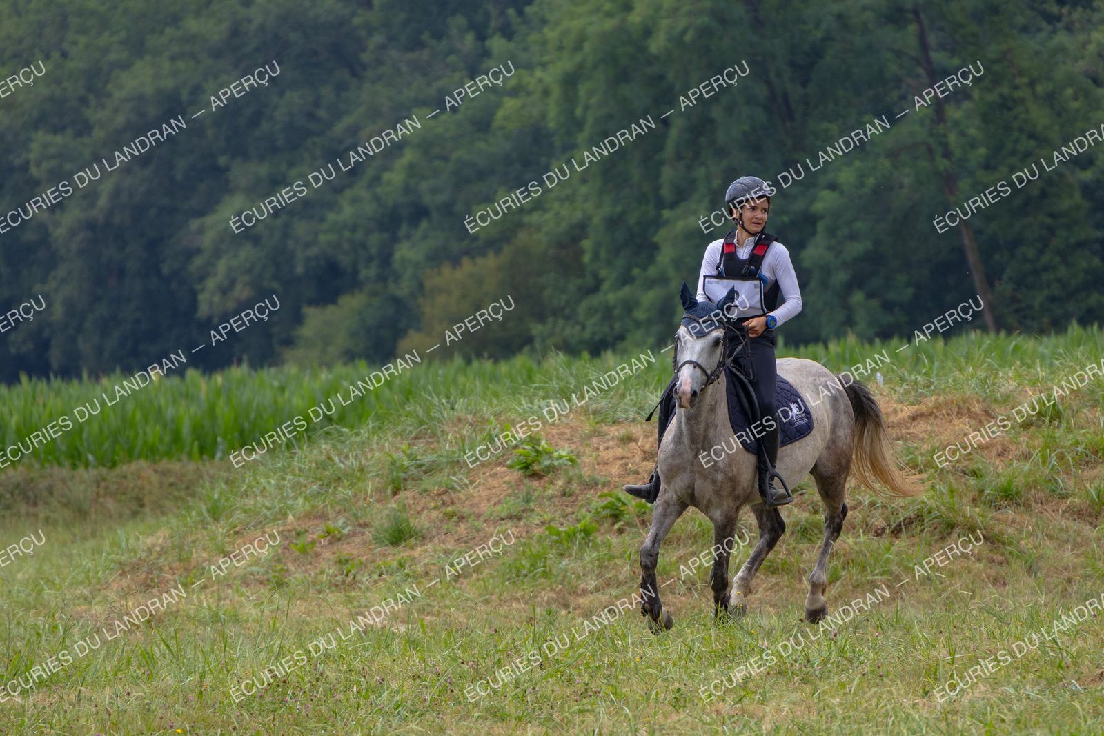 Concours au Landran