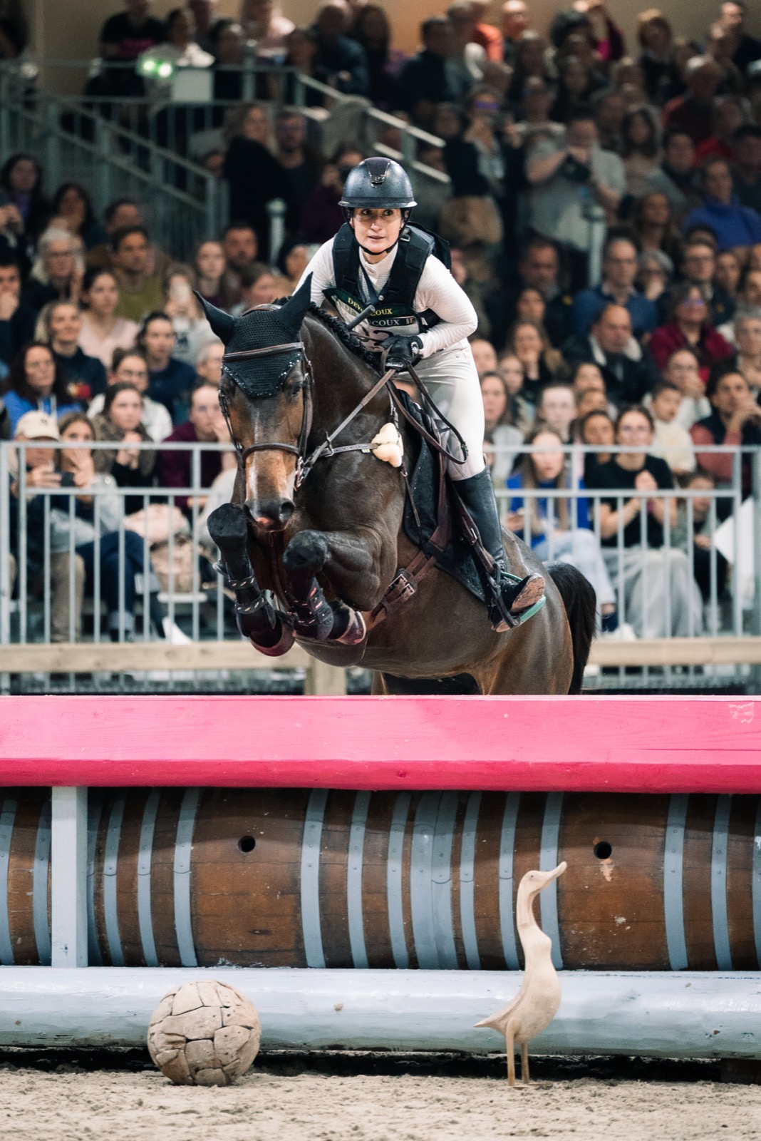Compétition de saut d'obstacles en salle