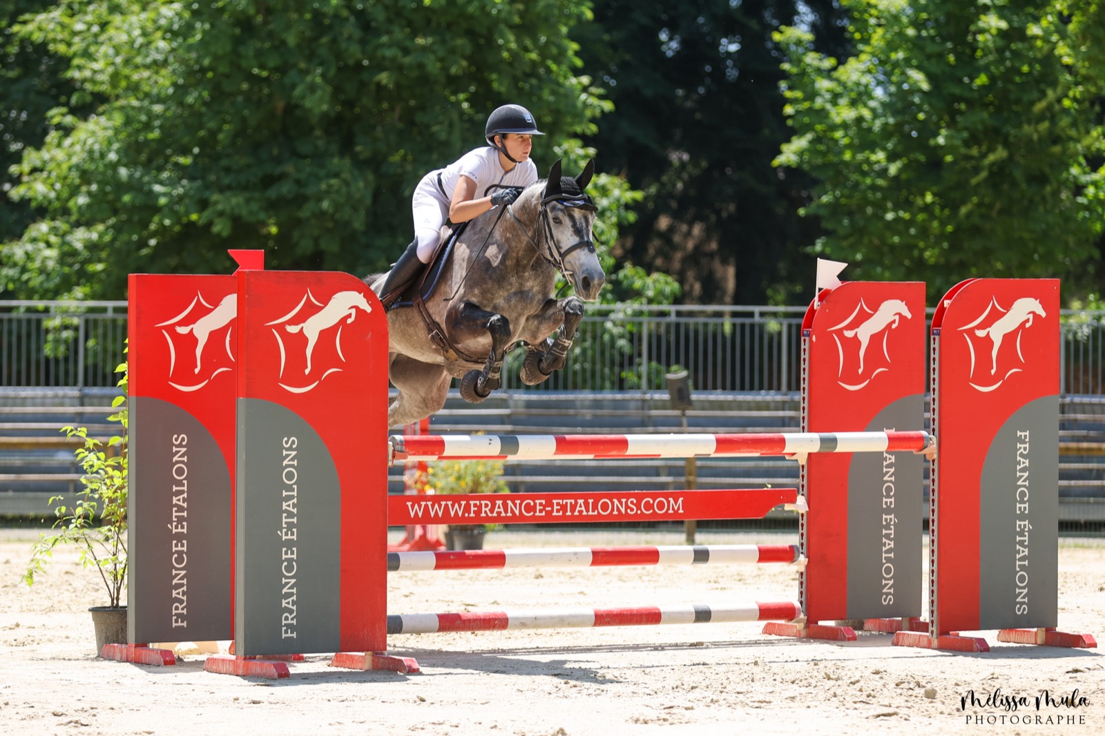 Saut d'obstacles en compétition