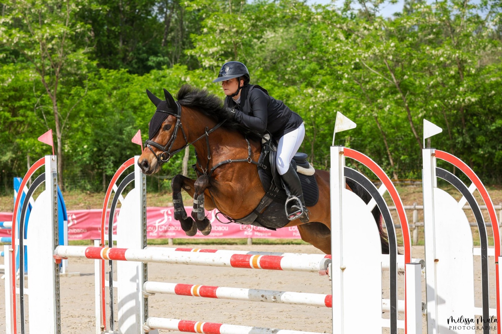 Saut d'obstacles en concours